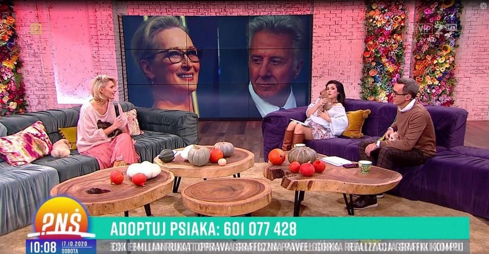 Katarzyna Cichopek została obsikana przez pieska w śniadaniówce