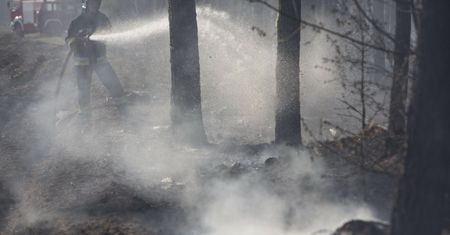 W Brandenburgii płoną lasy. Wybuchła amunicja