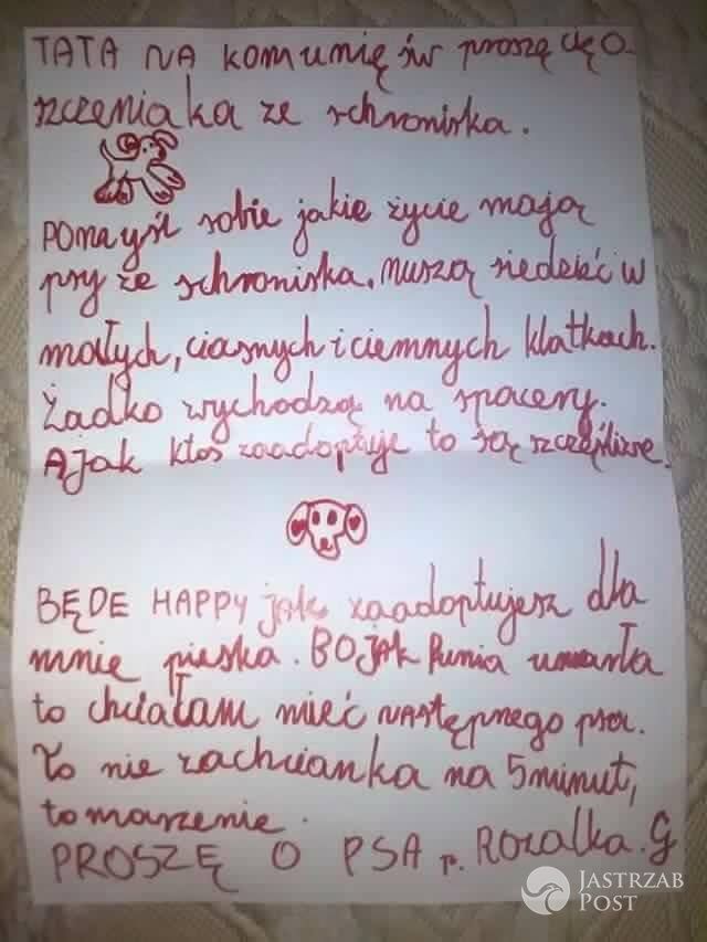 Marcin Dorociński pomoże małej dziewczynce zaadoptować psa ze schroniska