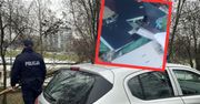 Nazwiska, PESEL-e, zdjęcia. Setki dokumentów w lesie. Policja z Gliwic komentuje