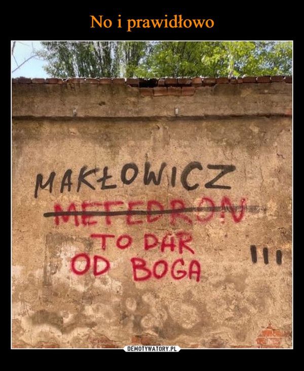 Mem z Robertem Makłowiczem