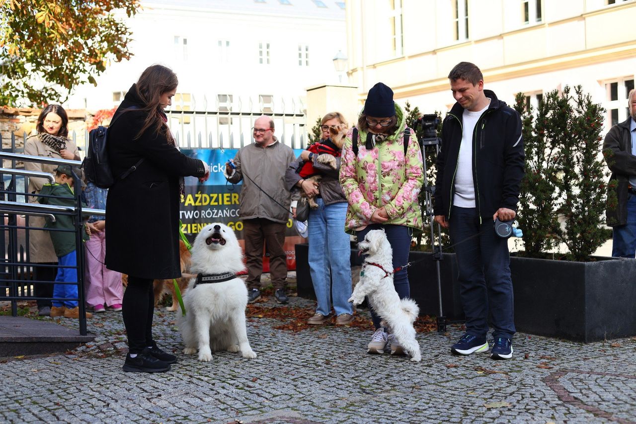 Kielce: Niedziela świętego Franciszka w Kościele Akademickim imienia Jana Pawła II. Błogosławieństwo zwierząt i wsparcie dla schroniska
