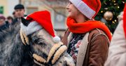 Krasnystaw: Kraszczadzki Jarmark Bożonarodzeniowy za nami