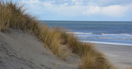Skandal z udziałem Polaków. Nieobyczajne zachowanie na holenderskiej plaży