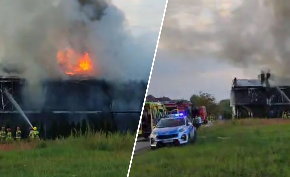 pożar, akcja straży pożarnej Pożar w Rzeszowie. Pali się pięć domów