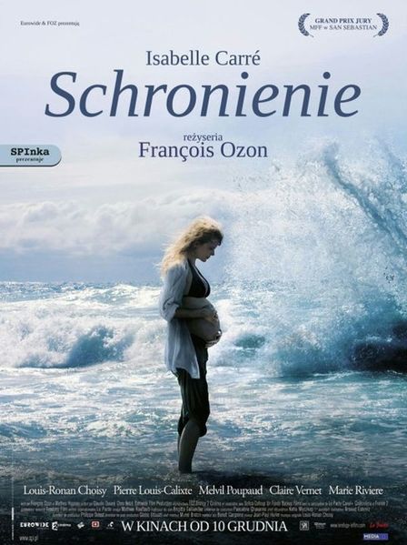 Schronienie