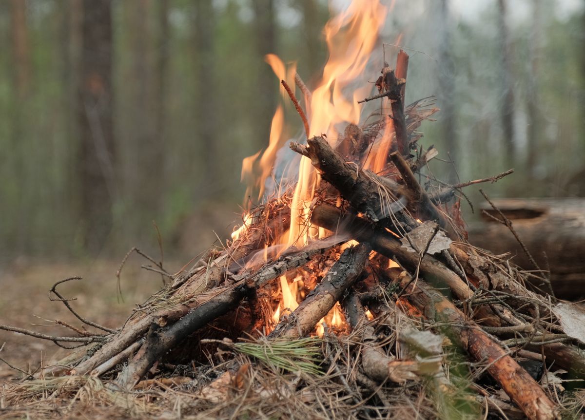 Chwila nieuwagi w lesie może doprowadzić do pożaru
