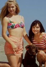 "Beverly Hills, 90210": 3. sezon hitu już od 7 maja