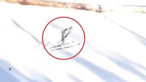 Skoki narciarskie. Kapitalna próba Kingi Rajdy. 134 metry na Bloudkovej Velikance (wideo)