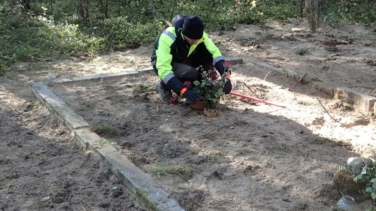 Odkrycie POMOST na terenie gminy Mosina.