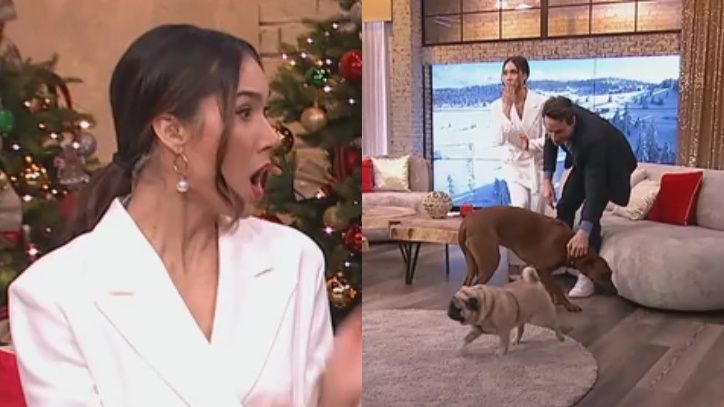 WPADKA w "Pytaniu na Śniadanie". Prowadzony przez Idę Nowakowską program został przerwany przez ATAK PSÓW