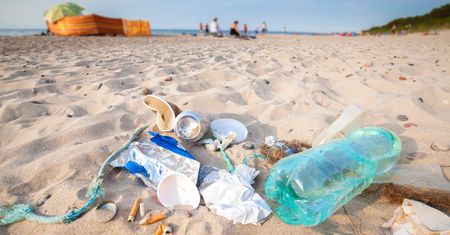 Trójmiejskie plaże toną w śmieciach. Turyści zostawiają na nich kilkaset ton odpadów rocznie