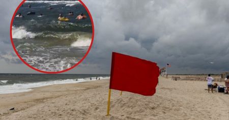 Na plaży czerwona flaga, a w wodzie taki widok. W sieci zawrzało