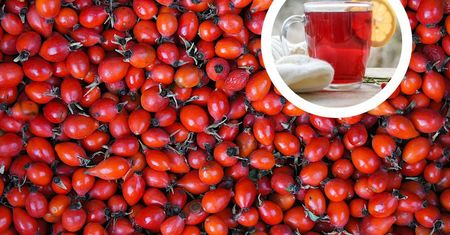 Najlepsza herbata na jesień. Ma wyjątkowo dużo witaminy C