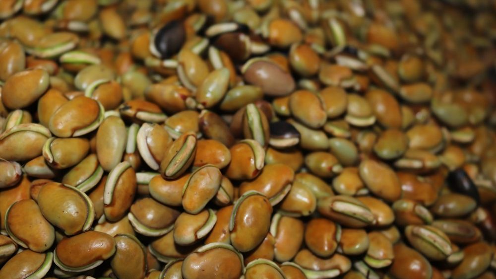 Obciążają jelita i powodują problemy trawienne