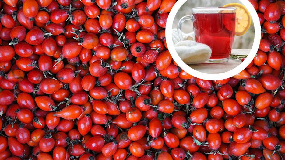 Najlepsza herbata na jesień. Ma wyjątkowo dużo witaminy C