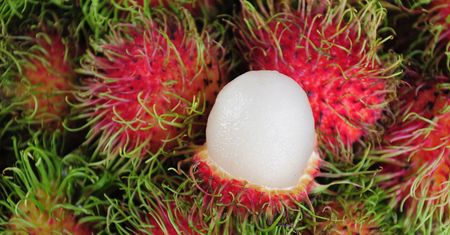 Jakie właściwości ma rambutan?