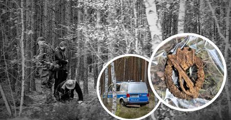 Rozszarpany przez wybuch, ukryty w lesie pod Piłą. Odnaleziono szczątki oficera z elitarną odznaką [ZDJĘCIA]