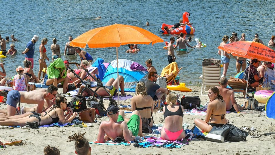  ZUS I POT ostrzegają przed oszustami 