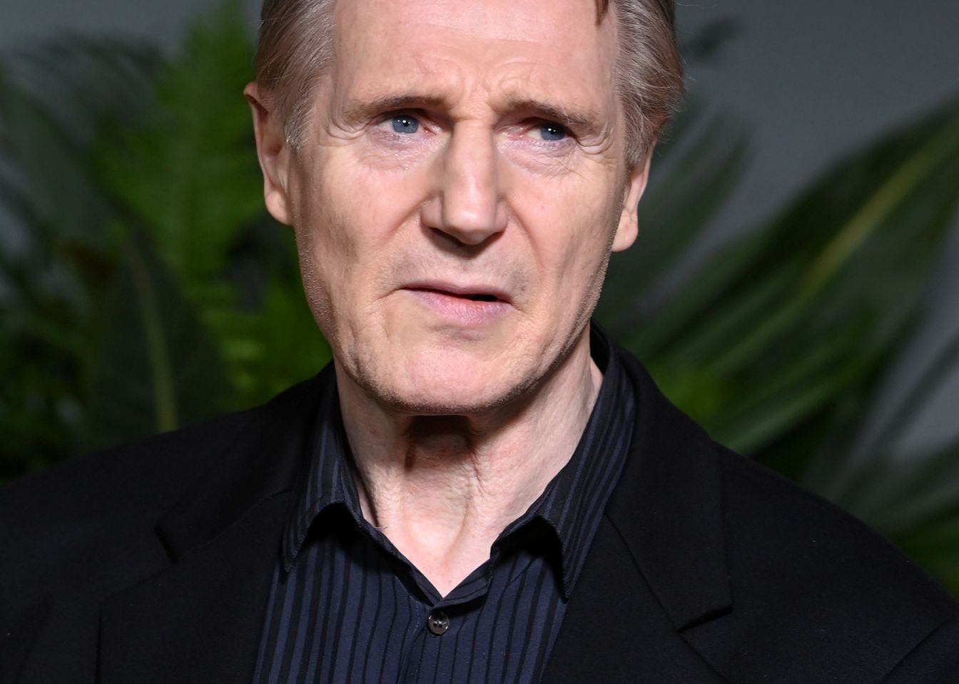 Liam Neeson 