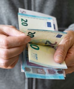 Szukają Polaków do pracy w Niemczech. Płacą 3 tys. zł tygodniowo