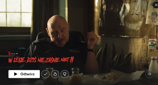 Netflix zwiększy inwestycje w Polsce. „Więcej lokalnych produkcji dla globalnego widza”