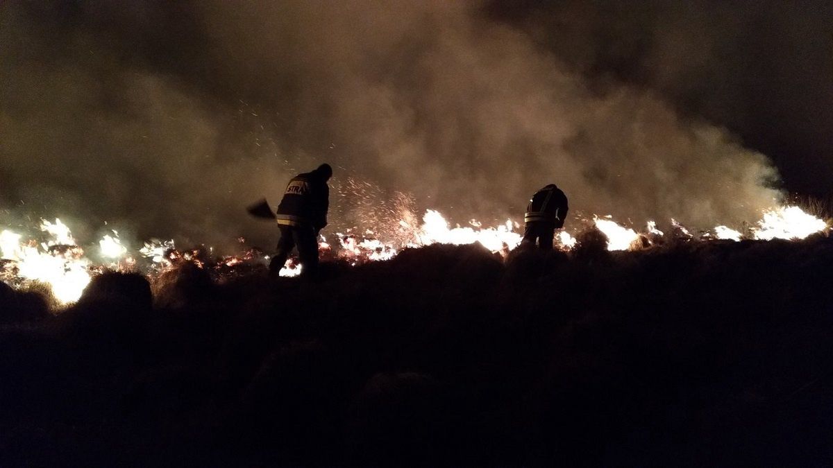 Pożar w Biebrzańskim Parku Narodowym. Brakuje pieniędzy na gaszenie