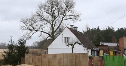 Ustawa o lasach uderza w rynek nieruchomości. Właściciele domów boją się pierwokupu państwa