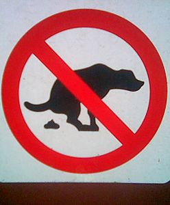 Pogotowie sexualne i inne zdjęcia Internautów