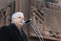 Radny PiS w obronie prezydenta: "czy na portalach siedzą poważni ludzie?"