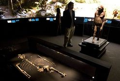 Odkryto szkielet "pradziadka" słynnej Lucy