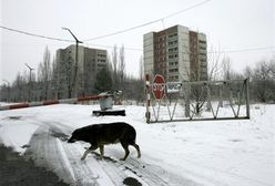 "To była sobota..." o katastrofie, która zmieniła świat