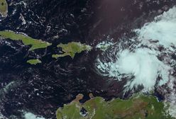 Ogromne zniszczenia po przejściu huraganu Emily