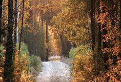 Nikt się nie spodziewał takiej pogody; sprawdź prognozę