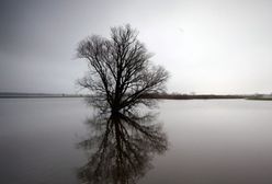 Groźny żywioł zbliża się do Kalifornii