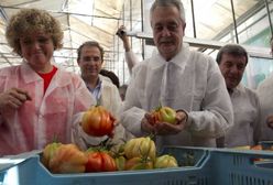 "Wojna ogórkowa" między Hiszpanią a Niemcami