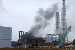 W Fukushimie budują stalową ścianę