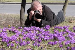 Przed weekendem silne wiatry i chłód? Sprawdź prognozę