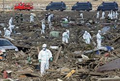 Fukushima: w kilku miejscach znaleziono pluton