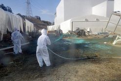 MAEA zapewnia: promieniowanie z Fukushimy "nieznaczne"