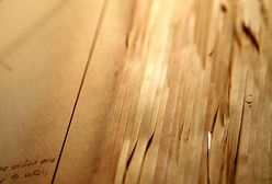 Polacy podzieleni w kwestii publikacji teczek SB