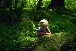 Zbierała jagody i znalazła 3-letnie dziecko