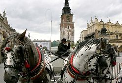 Kraków zagrożony przez zatkane śmieciami rzeki