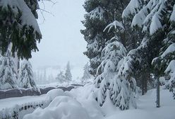 Kolejna ofiara zimy w Polsce