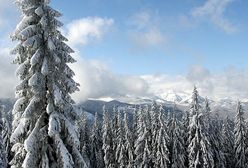 Dobre wiadomości pogodowe - robi się cieplej
