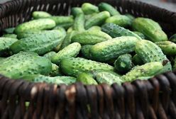 "Afera ogórkowa" szansą dla Polski?