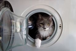 Polski minister pyta w UE: ile będzie żyć twoja pralka?