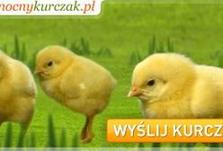 Skąd się biorą jaja?:)