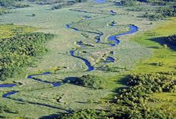 Nie będzie drogi przez dolinę Rospudy