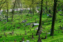 "Piłsudski=Hitler" - napis na bramie cmentarza na Rossie